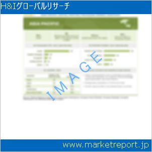 市場と産業調査レポートのイメージ